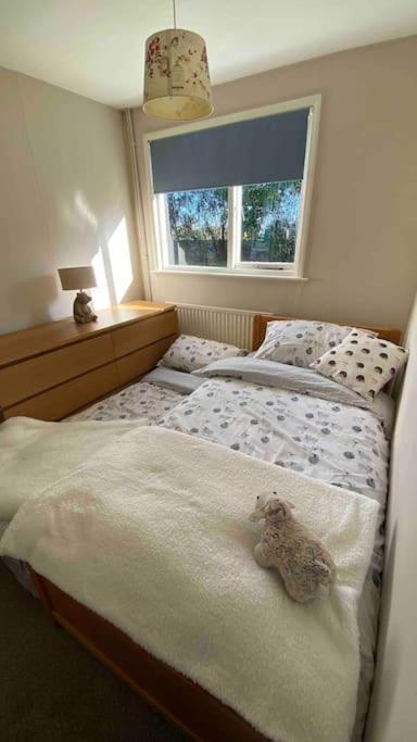 Cheerful 3 Bedroom Bungalow With Indoor Fire Place Gloucester Eksteriør bilde